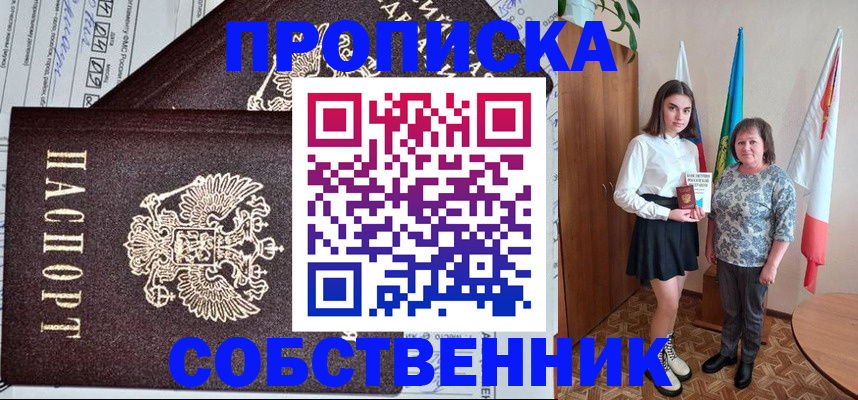 временная регистрация поиск в Павловске
