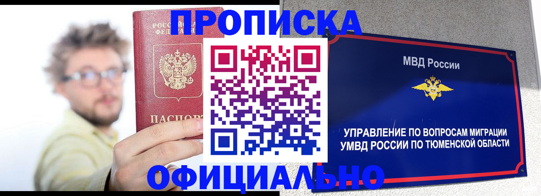 прописка поиск в Павловске
